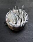 Zherbin - Jar box INSTRUMENT